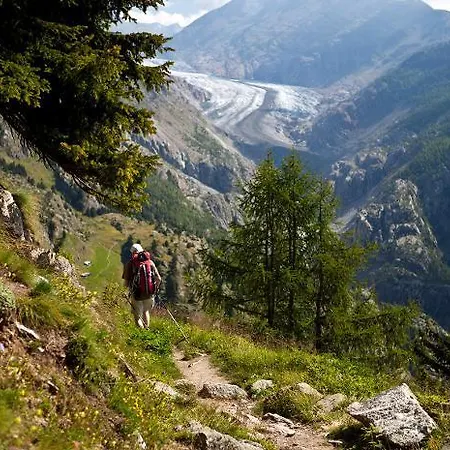 Chalet Bel-haex