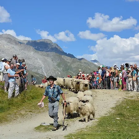 Alpehytte Bel-haex Blatten bei Naters